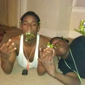 Meet your Posher, Antonio